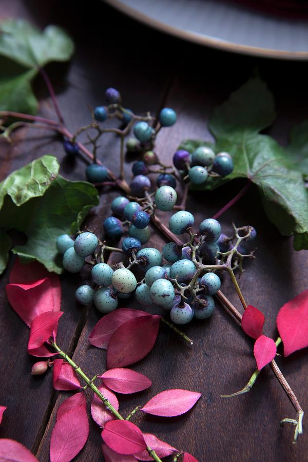 Turquoise Berries And Autumn Leaves As Table Decoration Photograph by Katharine Pollak