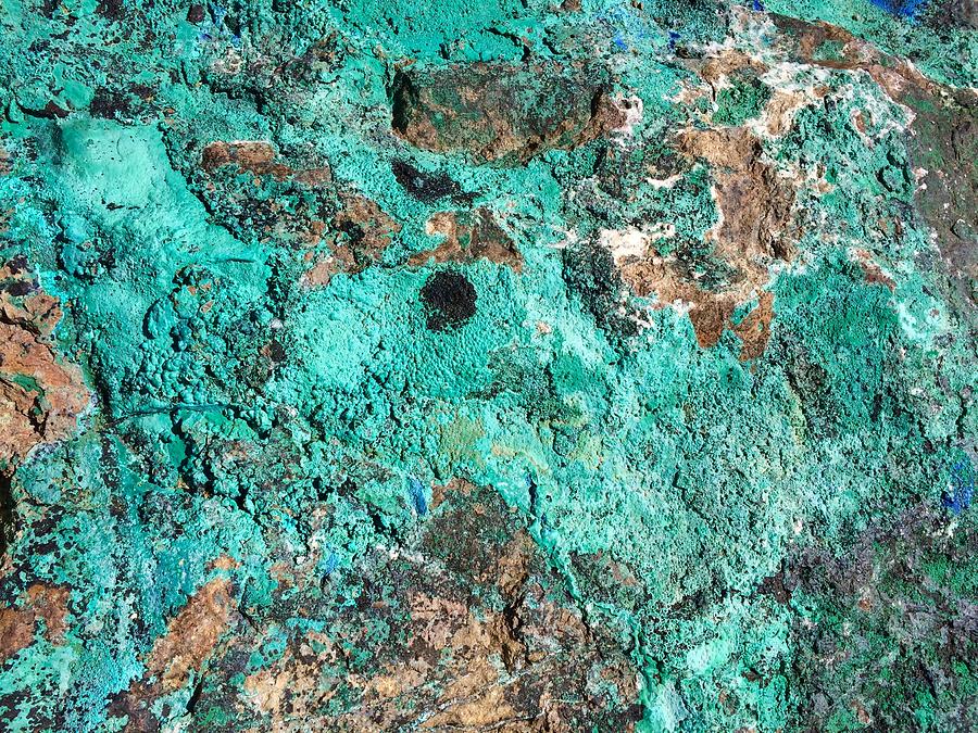 Turquoise Lichen on a Rock Photograph by Debra Grace Addison