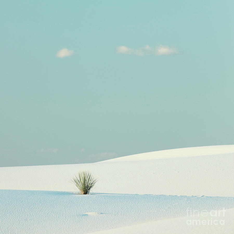 Turquoise Sands Photograph by Doug Sturgess