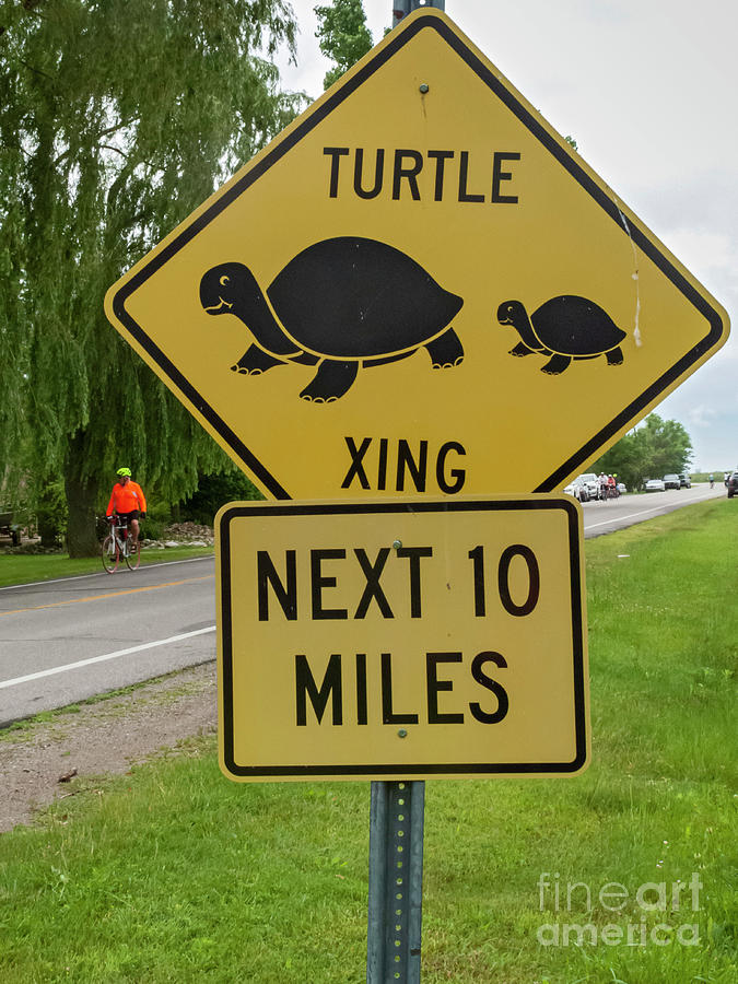 Turtle Crossing Sign Photograph by Jim West/science Photo Library
