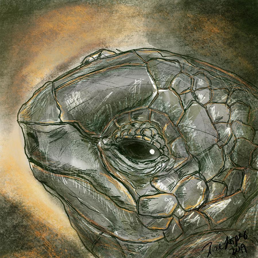 Turtle Face Digital Art by Rene Lopez - Fine Art America