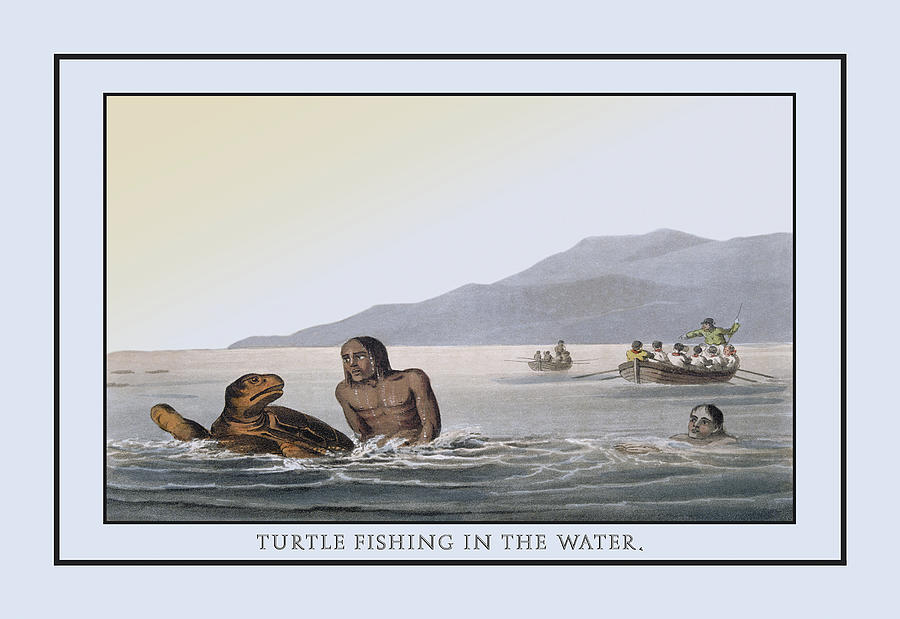 Turtle Fishing In The Water Painting by Mathew Dubourg