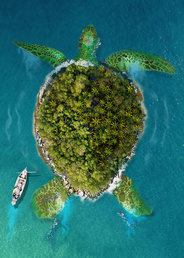 Native American Turtle Island