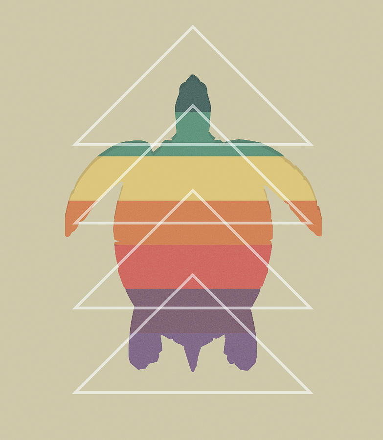 Turtle by Matthew Martnick Turtle by Matthew Martnick