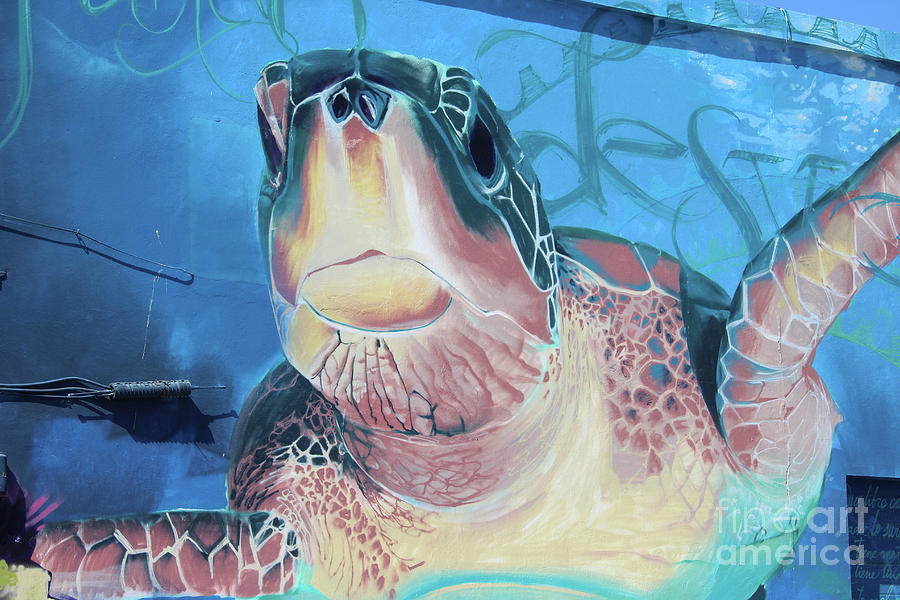 Turtle Mural Fuerteventura Spain Photograph by Eddie Barron