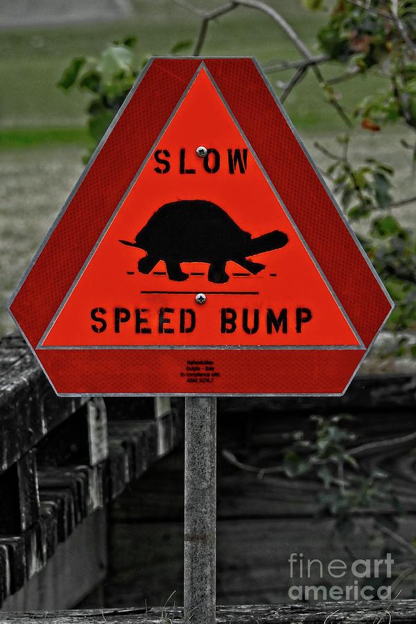 Turtle Speed Bump Sign Photograph by Ella Kaye Dickey