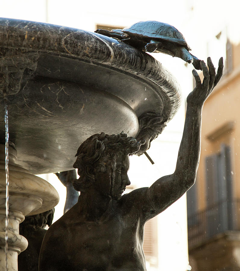 Turtles Fountain, Rome, Italy Digital Art by Johanna Huber