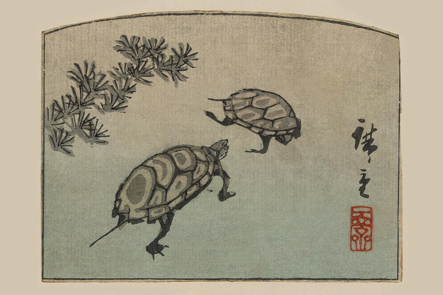 Turtles (Kame) Painting by Ando Hiroshige