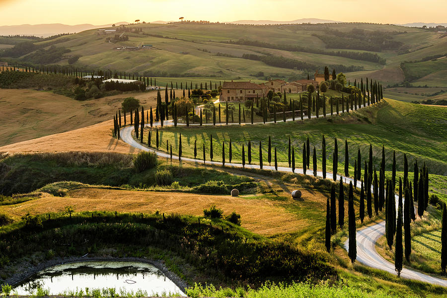 Tuscan estate driveway Photograph by Wolfgang Stocker