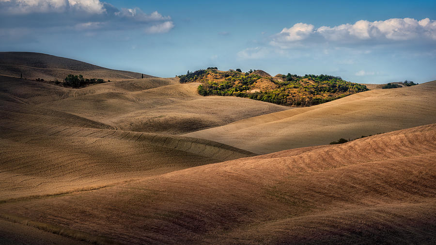 Tuscan Hill Photograph by Tommaso Pessotto