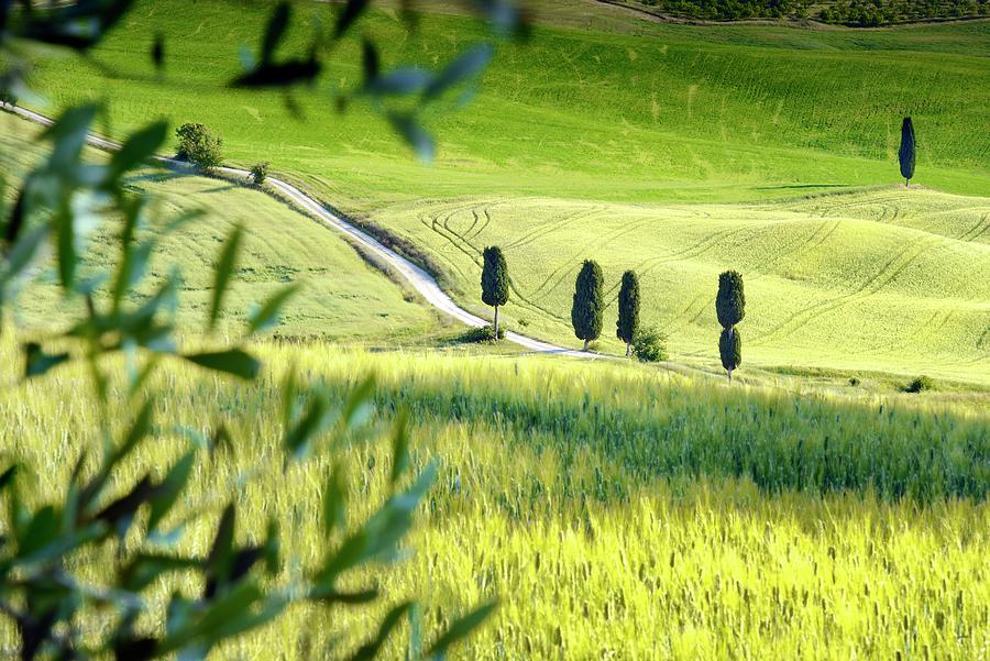 Tuscan Landscape Digital Art by Francesco Carovillano