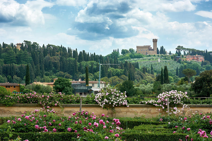 Tuscan landscape in Florence by Eduardo Jose Accorinti Tuscan landscape in Florence by Eduardo Jose Accorinti