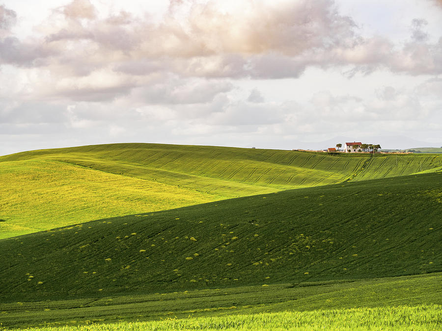 Tuscan Landscapes. Hills in the spring by Giovanni Bertagna Tuscan Landscapes. Hills in the spring by Giovanni Bertagna