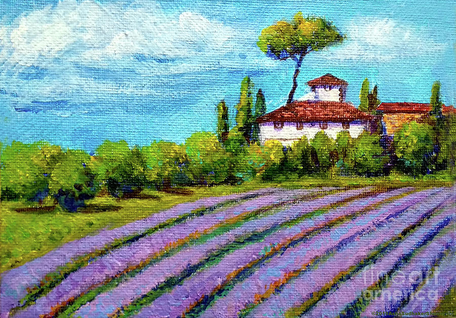 French Lavender fields Painting by Asha Sudhaker Shenoy