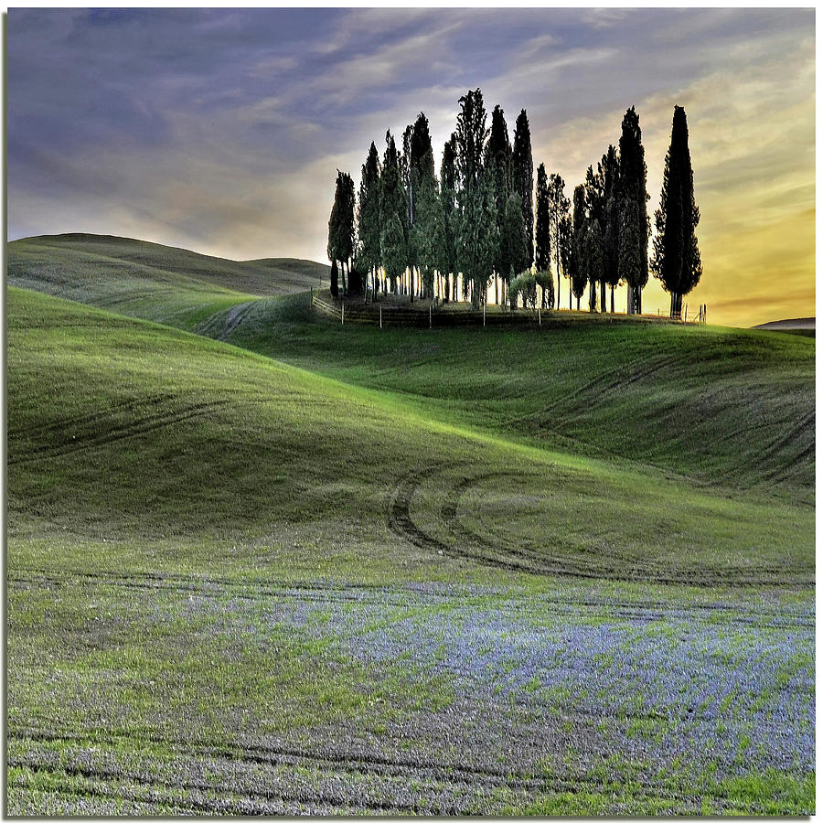 Tuscan Sinuosity Photograph by Nespyxel