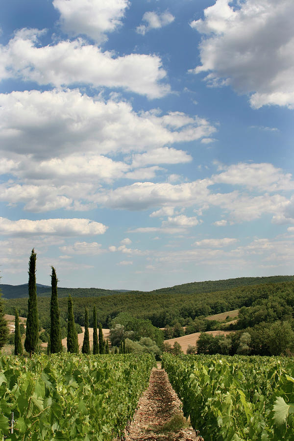 Tuscan Skyline 01 Photograph by Dean2 Tuscan Skyline 01 Photograph by Dean2