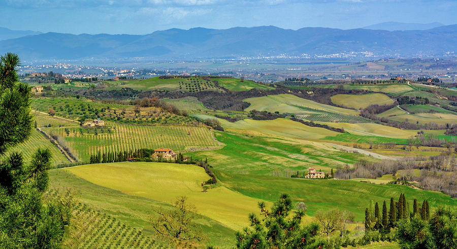Tuscan Spring Photograph by Marcy Wielfaert