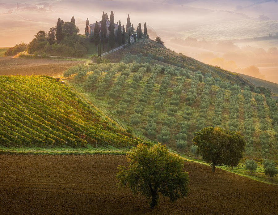 Summer Photograph - Tuscany by Adrian Popan