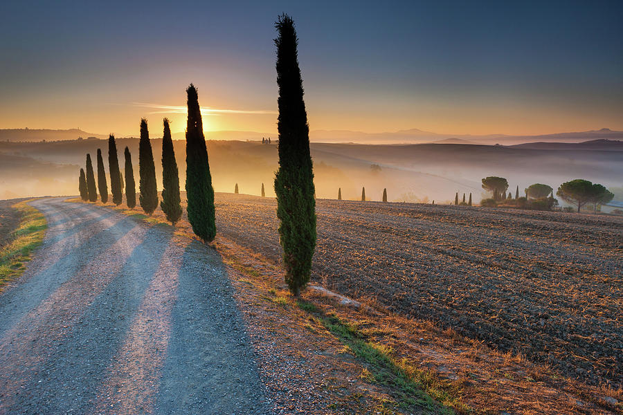 Tuscany, Alley Of Cypresses, Italy Digital Art by Heeb Photos