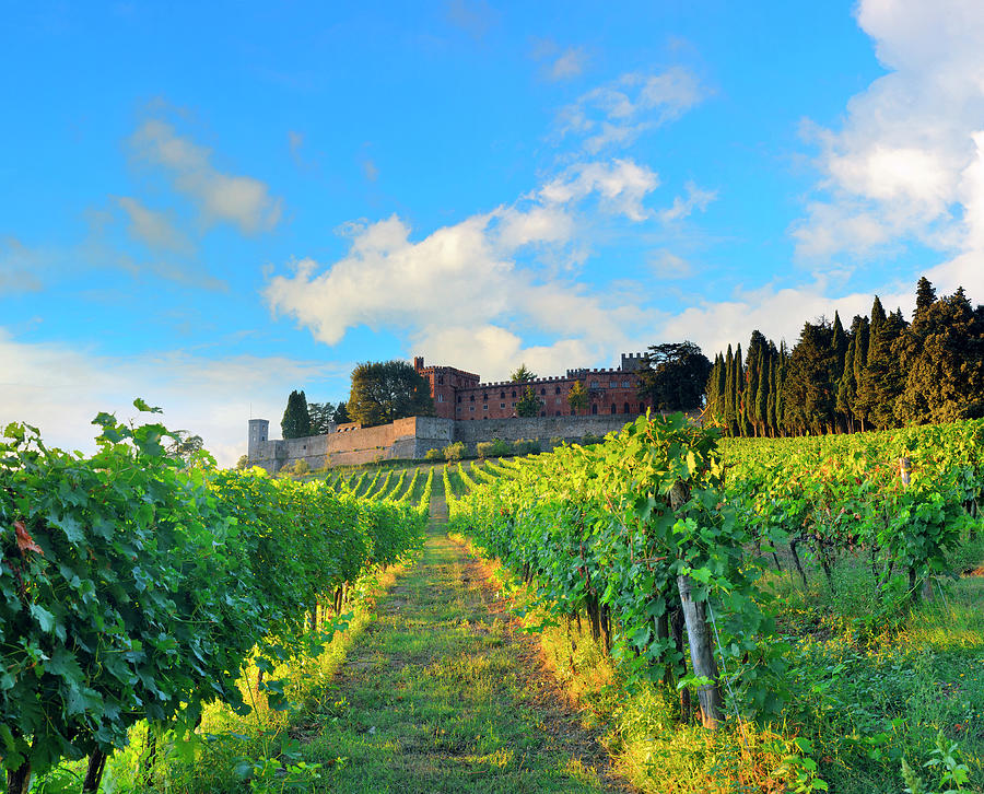 Tuscany, Brolio Castle, Vineyards Digital Art by Luca Da Ros