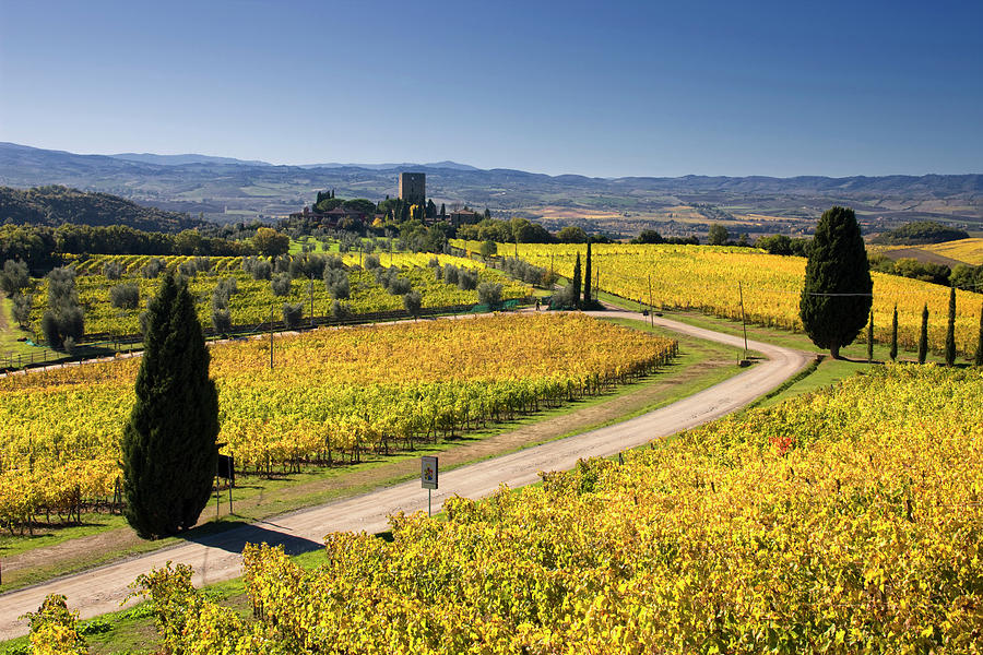 Tuscany, Brunello Wine Road, Italy Digital Art by Massimo Ripani