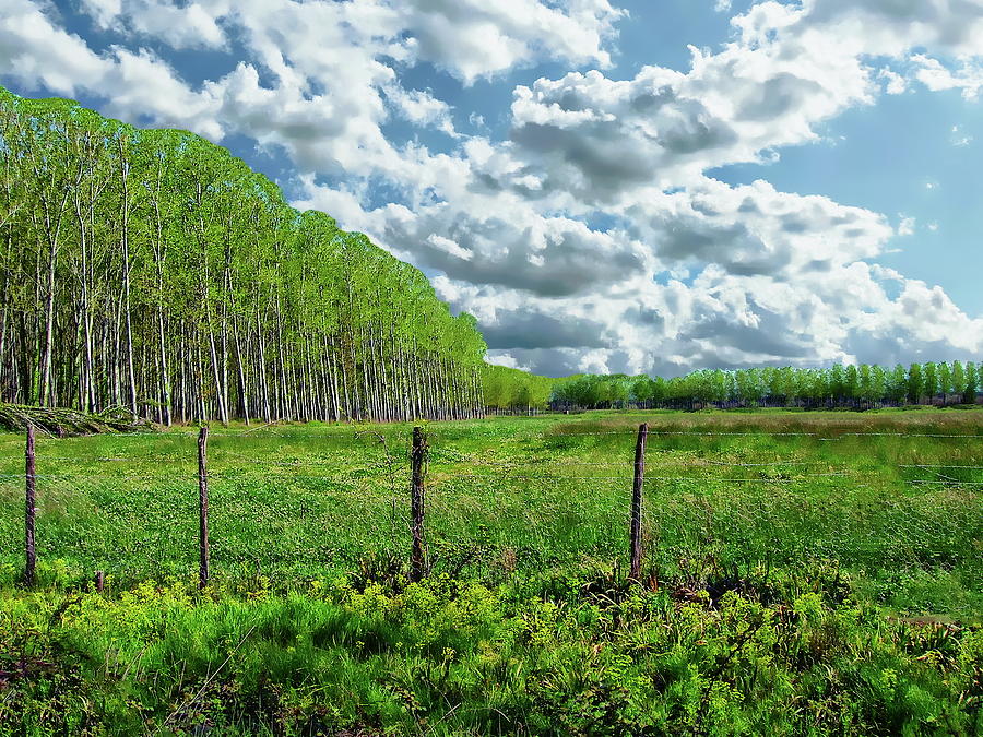 Tuscany Country Scene by Anthony Dezenzio Tuscany Country Scene by Anthony Dezenzio