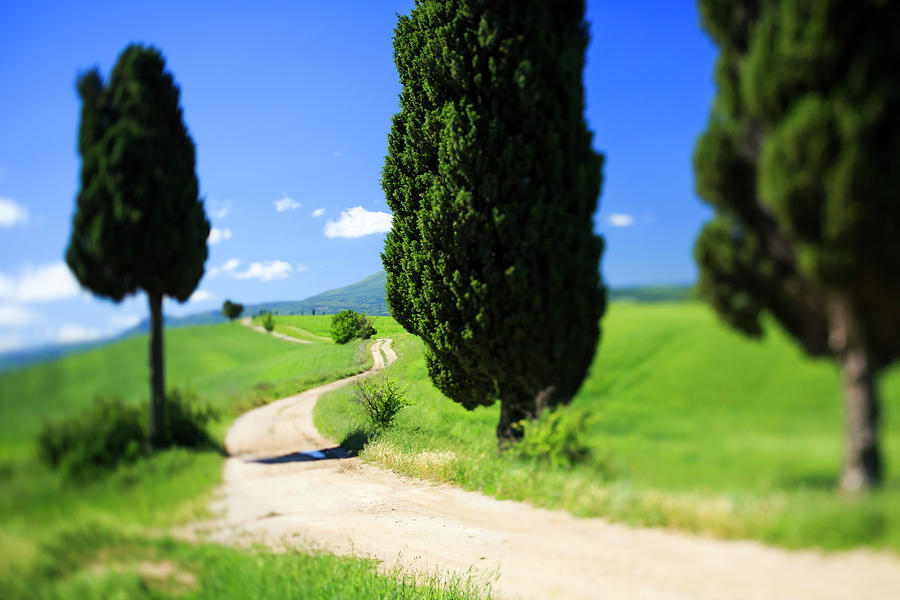 Tuscany, Countryside, Italy Digital Art by Maurizio Rellini