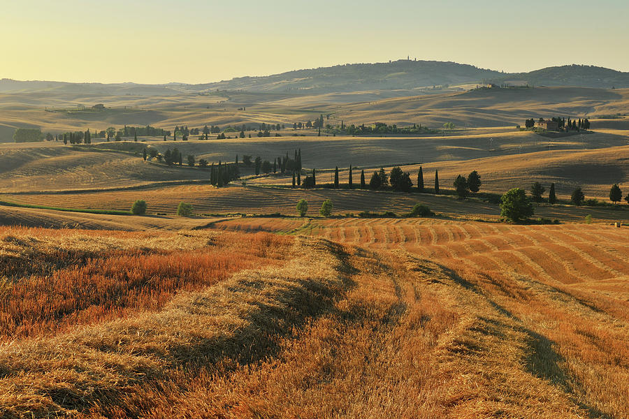 Tuscany Countryside Photograph by Raimund Linke