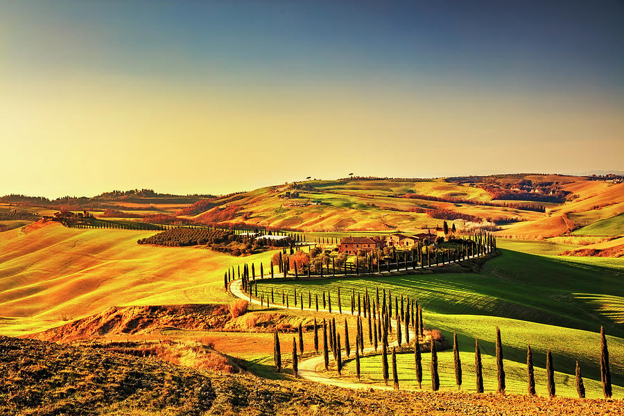 Crete Senesi Cypress Road Photograph by Stefano Orazzini