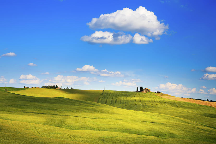 Surrealism in Tuscany Photograph by Stefano Orazzini