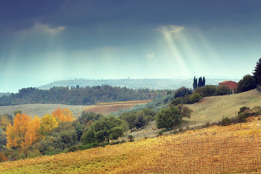 Tuscany In The Autumn Photograph by Mammuth
