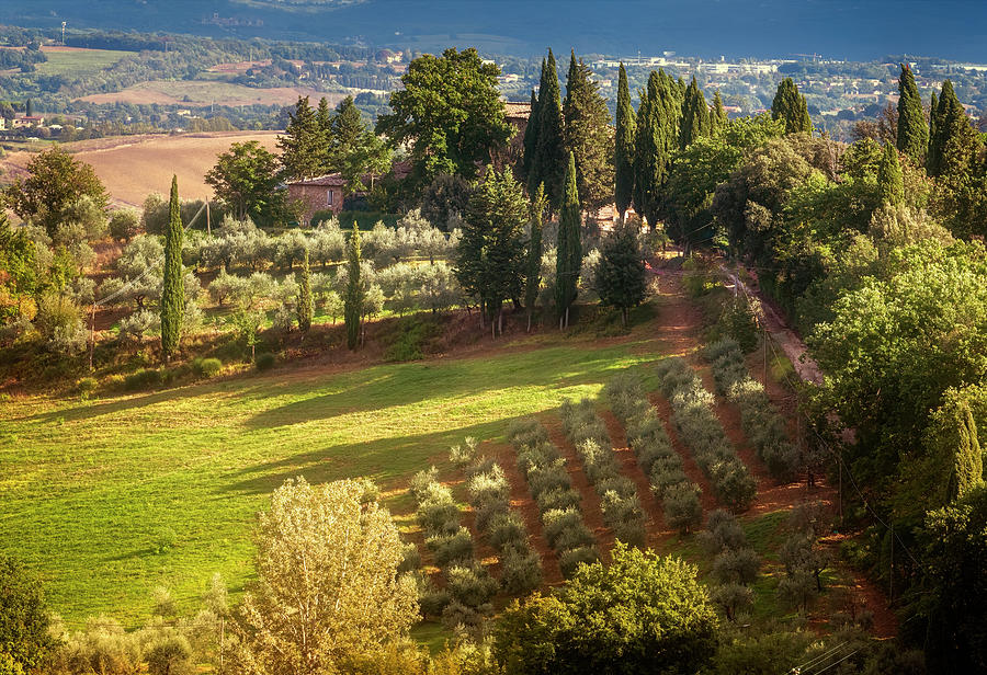 Tuscany Italy Countryside Photograph