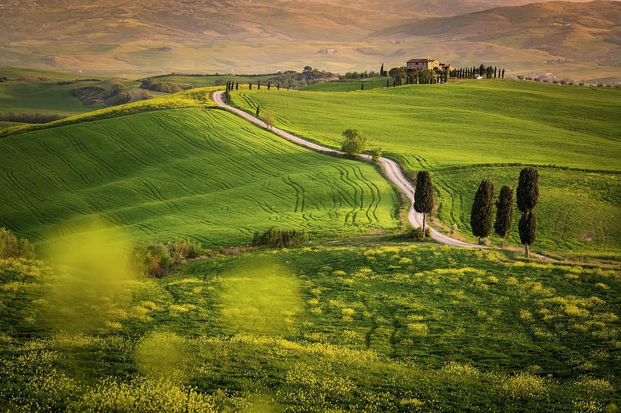 Tuscany, Italy. Landscape and path Photograph by Francesco Riccardo Iacomino