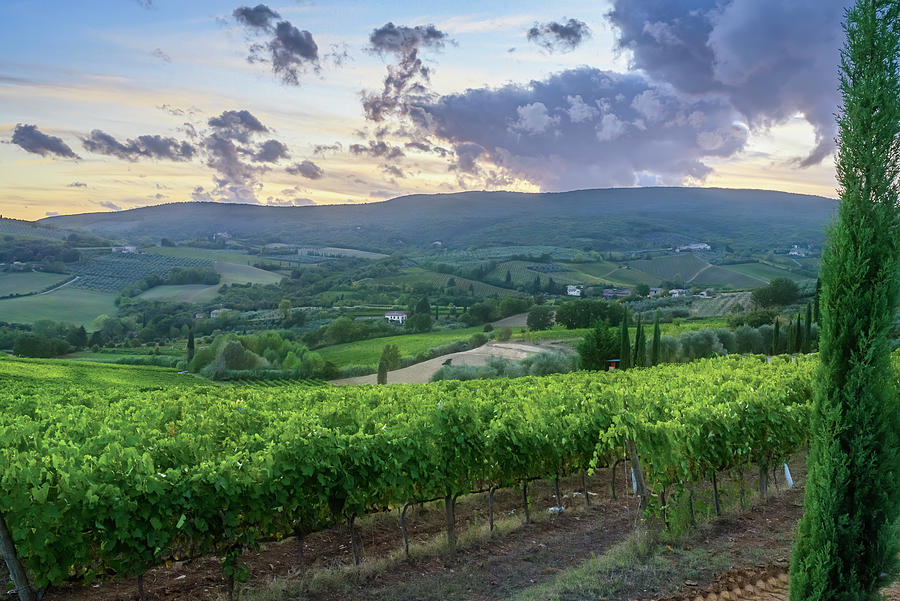Tuscany Italy Landscape Photograph by Joan Carroll