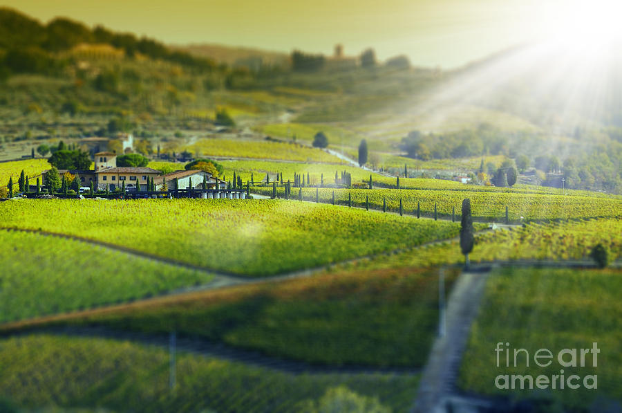 Sunrise Photograph - Tuscany Landscape, Italy by Cate 89 Sunrise Photograph - Tuscany Landscape, Italy by Cate 89