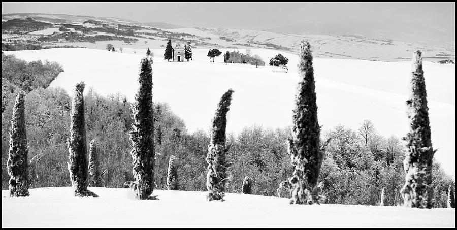 Black And White Digital Art - Tuscany, Landscape, Italy by Massimo Ripani