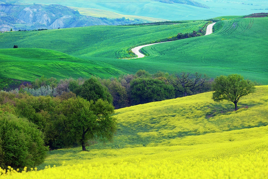 Tuscany Landscape Photograph by Tadejzupancic