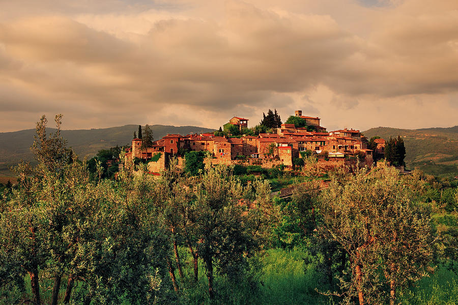 Tuscany, Montefioralle, Italy Digital Art by Riccardo Spila