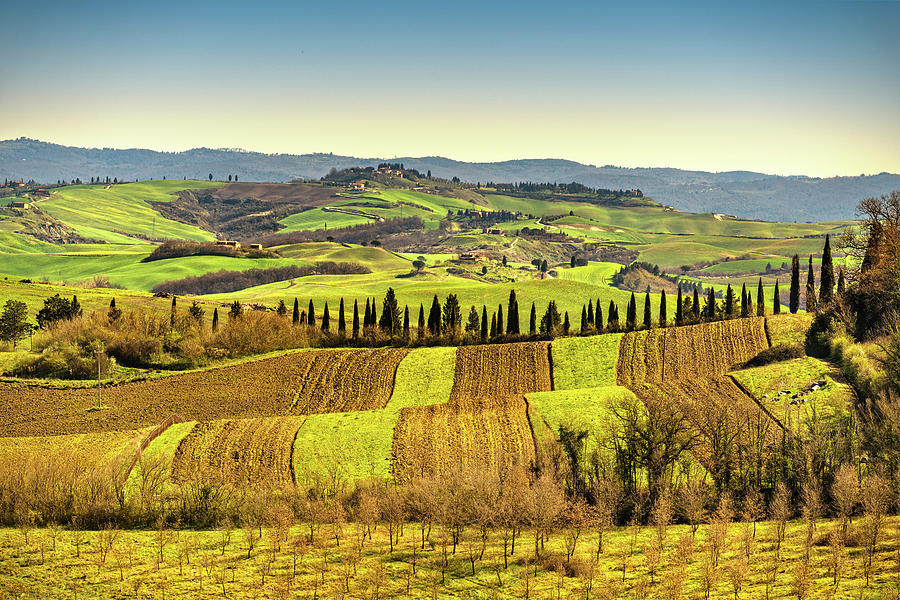 Tuscany panorama, rolling hills, trees and green fields. Italy Photograph by Stefano Orazzini