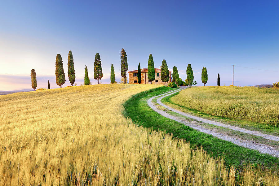 Farm Digital Art - Tuscany, Peaceful Landscape, Italy by Francesco Carovillano