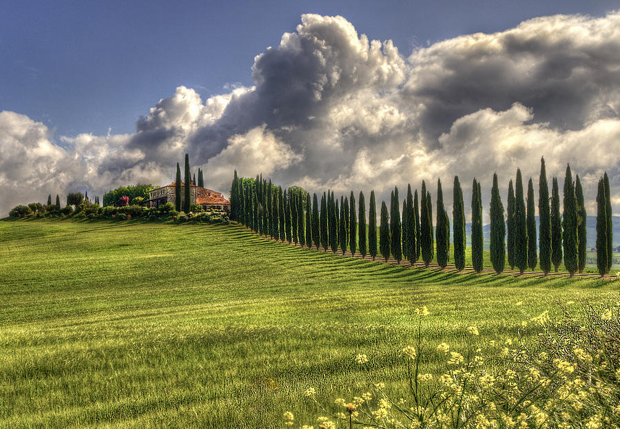 Tuscany, Podere & Cypresses Photograph by Eric Koeken