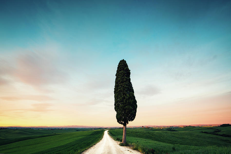 Tuscany Road Photograph by Borchee