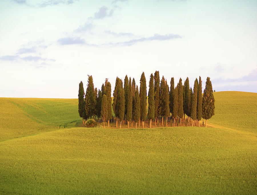 Tuscany, Rolling Landscape, Italy Digital Art by Luca Da Ros