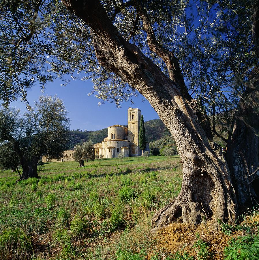 Landscape Digital Art - Tuscany, Santantimo Abbey, Italy by Johanna Huber