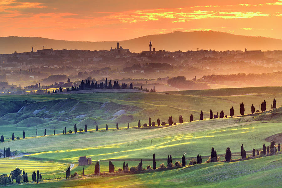 Tuscany, Siena, Landscape, Italy Digital Art by Francesco Carovillano