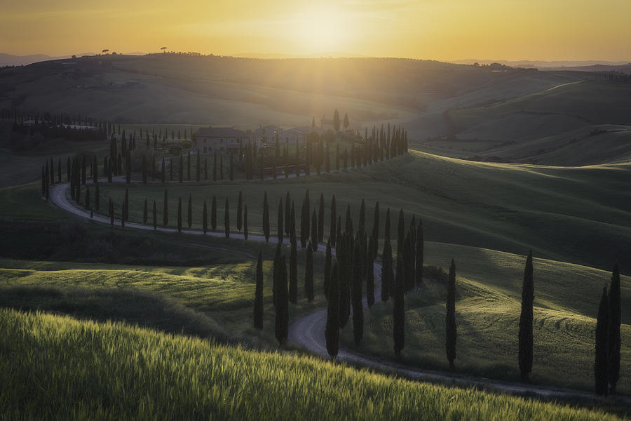 Tuscany Sunset Photograph by Francesco Tavani