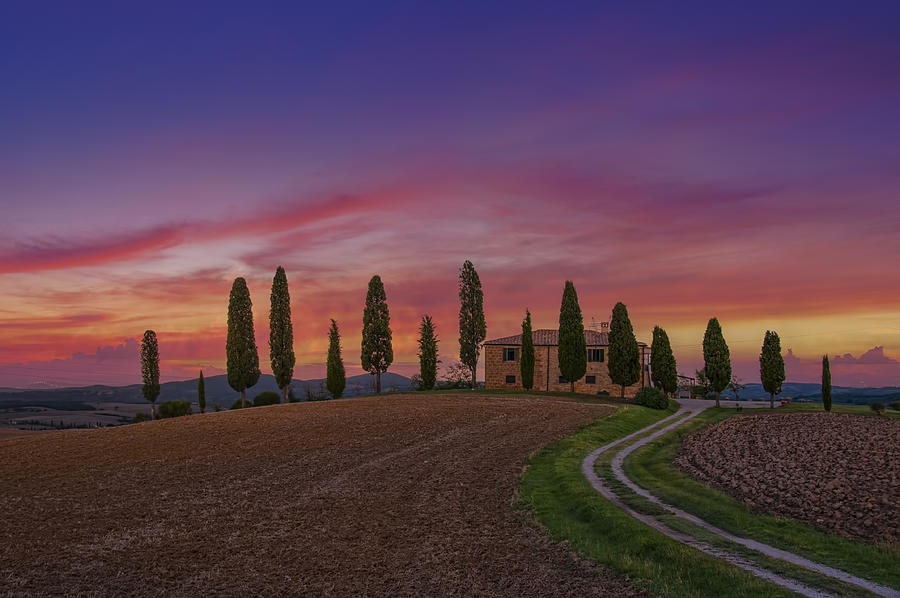 Tuscany Sunset Photograph by Jay Zhu