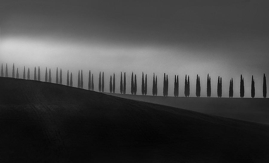 Tree Photograph - Tuscany by Todor Tanev