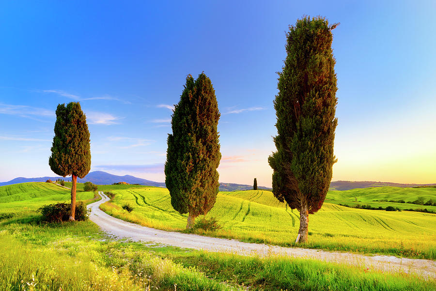 Tuscany, Tuscan Landscape, Italy Digital Art by Francesco Carovillano