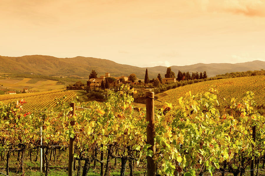 Tuscany Village And Vineyard In Fall At Photograph by Lisa-blue